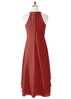 Azazie Linna Junior Terracotta A-Line Pleated Chiffon Dress image6