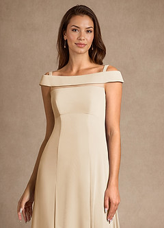Azazie Ewa Mother of the Bride Dresses Champagne A-Line Off the Shoulder Mesh Dress image9
