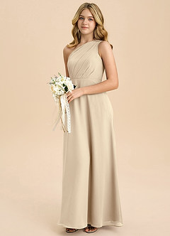 Azazie Phaedra Junior Vestido de Champán de Gasa de Corte en A con Plisado image5