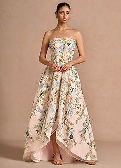 Lelia Blush Pink Multi Maxi Dress image4