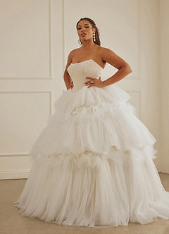Christian Siriano Bridal for Azazie 2008 Wedding Dresses Diamond White Champagne Ball-Gown Sequins Tulle Dress image18