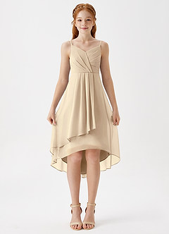 Azazie Mariam Junior Champagne A-Line Pleated Chiffon Dress image4