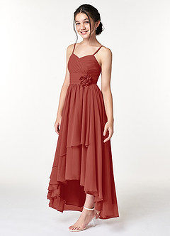 Azazie Catalina Junior Terracotta A-Line Ruched Chiffon Dress image3