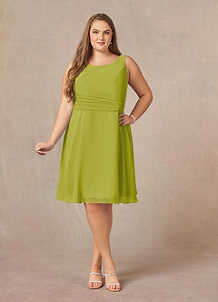 Azazie Shirley Mother of the Bride Dresses Lemongrass A-Line Scoop Pleated Chiffon Dress image11