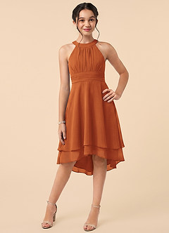 Azazie Linna Junior Cinnamon A-Line Pleated Chiffon Dress image1