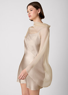 Crystle Taupe 100% Washable Silk Mini Dress image4