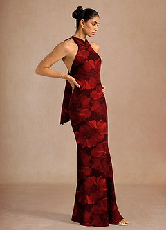 Dillon Carnelian Maxi Dress image4