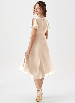 Azazie Graciela Junior White Alabaster A-Line Pleated Chiffon Dress image5