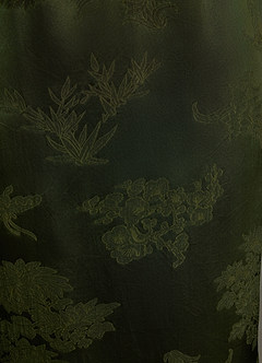Allira Dark Moss Maxi Dress image7