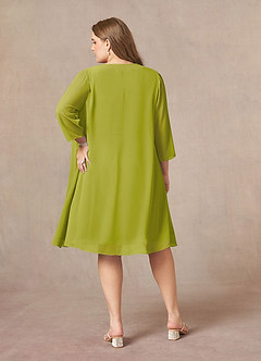 Azazie Shirley Mother of the Bride Dresses Lemongrass A-Line Scoop Pleated Chiffon Dress image9