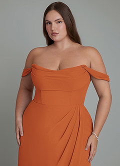 Azazie Johana Bridesmaid Dresses Cinnamon Mermaid Off the Shoulder Chiffon Convertible Dress image11