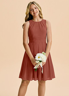 Azazie Bibiane Junior Auburn A-Line Pleated Chiffon Dress image1