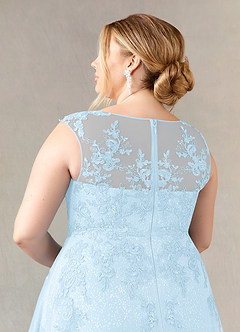 Azazie Flynn Mother of the Bride Dresses Sky Blue A-Line Boatneck Lace Tulle Dress image11