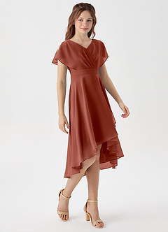 Azazie Graciela Junior Auburn A-Line Pleated Chiffon Dress image5