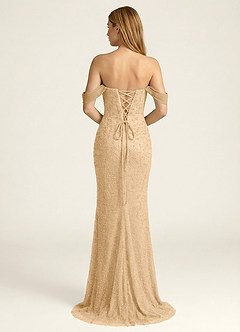Elowencyn Champagne Beading Mesh Satin Faced Chiffon Prom Dress image2