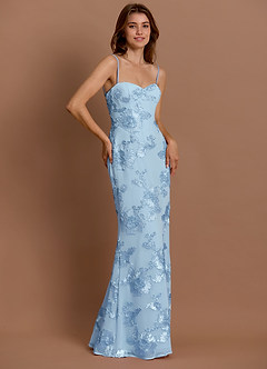 Anika Sky Blue Maxi Dress image3