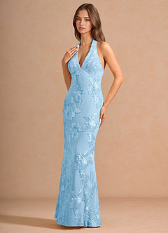 Dulcie Sky Blue Maxi Dress image4