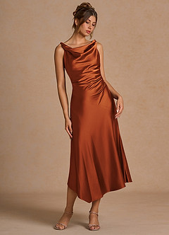 Nerine Spice Midi Dress image4