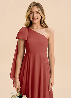Azazie Averie Junior Terracotta A-Line Pleated Chiffon Dress image4