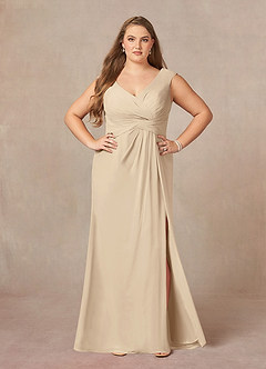 Azazie Sally Mother of the Bride Dresses Champagne A-Line V-Neck Pleated Chiffon Dress image8
