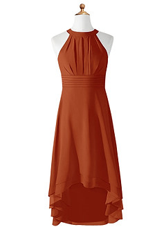 Azazie Linna Junior Paprika A-Line Pleated Chiffon Dress image5