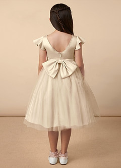 Azazie Aster Final Sale Dusty Rose A-Line with Sleeves Tulle Dress image4