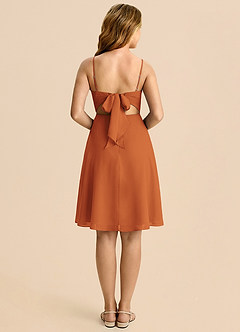 Azazie Shale Cinnamon A-Line Bow Chiffon Dress image2