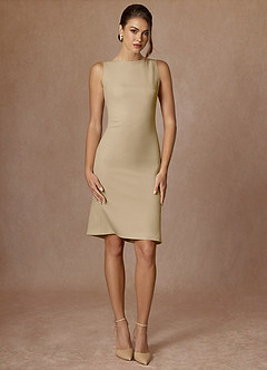 Kennedy Champagne Structured Stretch Dress