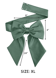 front Matching Color Matte Satin Sash with Back Bow