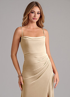 Azazie Leonis Bridesmaid Dresses Champagne Mermaid Strapless Velvet Dress image3