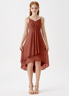 Azazie Mariam Junior Auburn A-Line Pleated Chiffon Dress image4