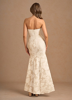 Avina Cream Maxi Dress image4