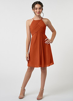 Azazie Ginny Junior Burnt Orange A-Line Pleated Chiffon Dress image1