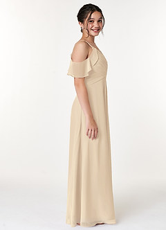 Azazie Dakota Junior Champagne A-Line Off the Shoulder Chiffon Dress image3
