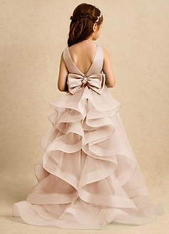 Azazie Lior Flower Girl Dresses English Rose Ball-Gown Pleated Tulle Dress image1