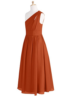 Azazie Molly Junior Burnt Orange A-Line Pleated Chiffon Dress image9