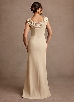 Azazie Irvine Mother of the Bride Dresses Champagne A-Line Pleated Chiffon Dress image3