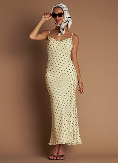 Alanis Cream Black Maxi Dress image7