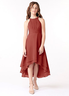 Azazie Linna Junior Terracotta A-Line Pleated Chiffon Dress image1