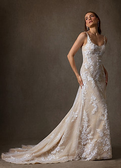 Azazie Rosalie Robes de mariée Robe Trapèze en Dentelle Diamant Nude image7