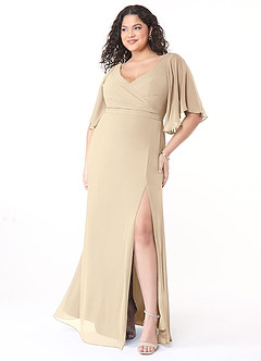 Azazie Cierra Bridesmaid Dresses A-Line V-Neck Chiffon Floor-Length Dress image9