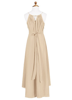 Azazie Oaklynn Junior Champagne A-Line Pleated Chiffon Dress image7