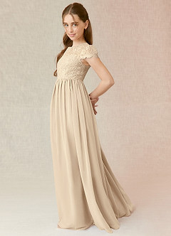 Azazie Delevingne Junior Champagne A-Line Lace Chiffon Dress image3