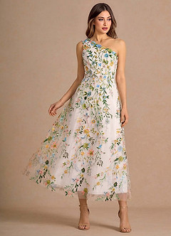 Maribela Blush Pink Multi Midi Dress image4