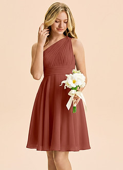 Azazie Charlize Junior Auburn A-Line Pleated Chiffon Dress image4