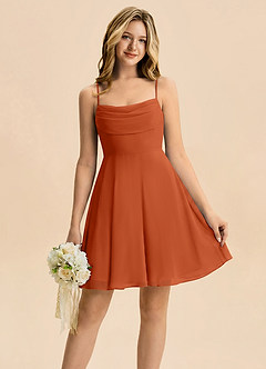 Azazie Bear Junior Burnt Orange A-Line Pleated Chiffon Dress image1