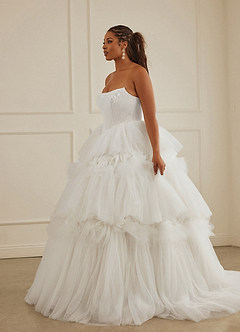 Christian Siriano Bridal for Azazie 2008 Wedding Dresses Diamond White Ball-Gown Sequins Tulle Dress image18