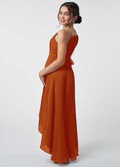 Azazie Oaklynn Junior Paprika A-Line Pleated Chiffon Dress image5
