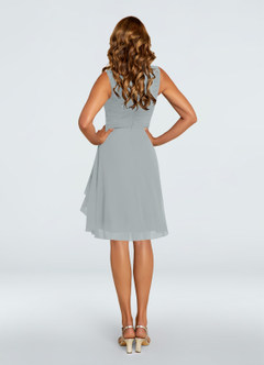 Azazie Theron Mother of the Bride Dresses Dolphin Grey A-Line V-Neck Pleated Chiffon Dress image14