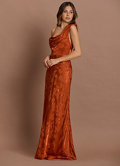 Briseis Rust Maxi Dress image5